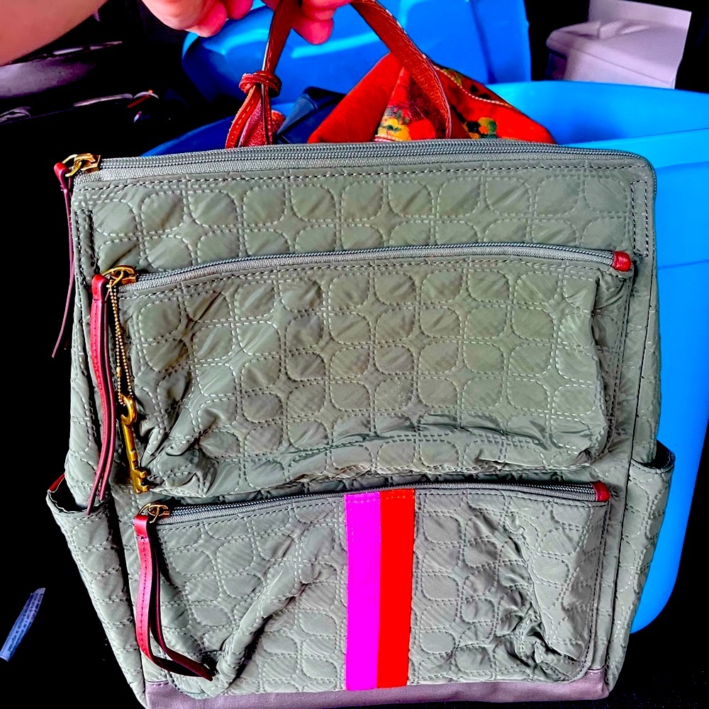 Fossil backpack